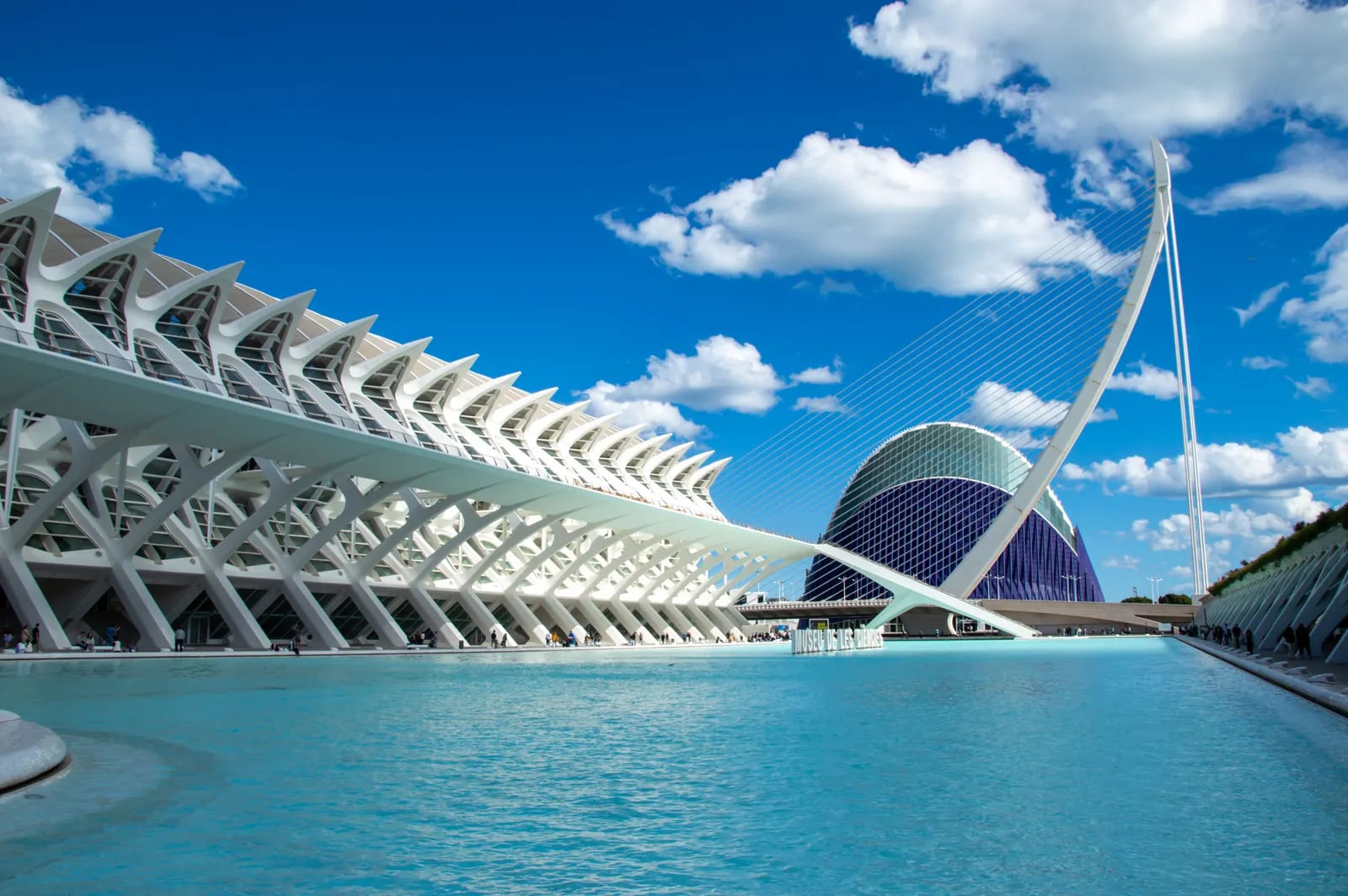 Ciudad de las Artes y las Ciencias de Valencia, con el Museu de les Ciències, el puente en forma de arpa y el estanque en primer término