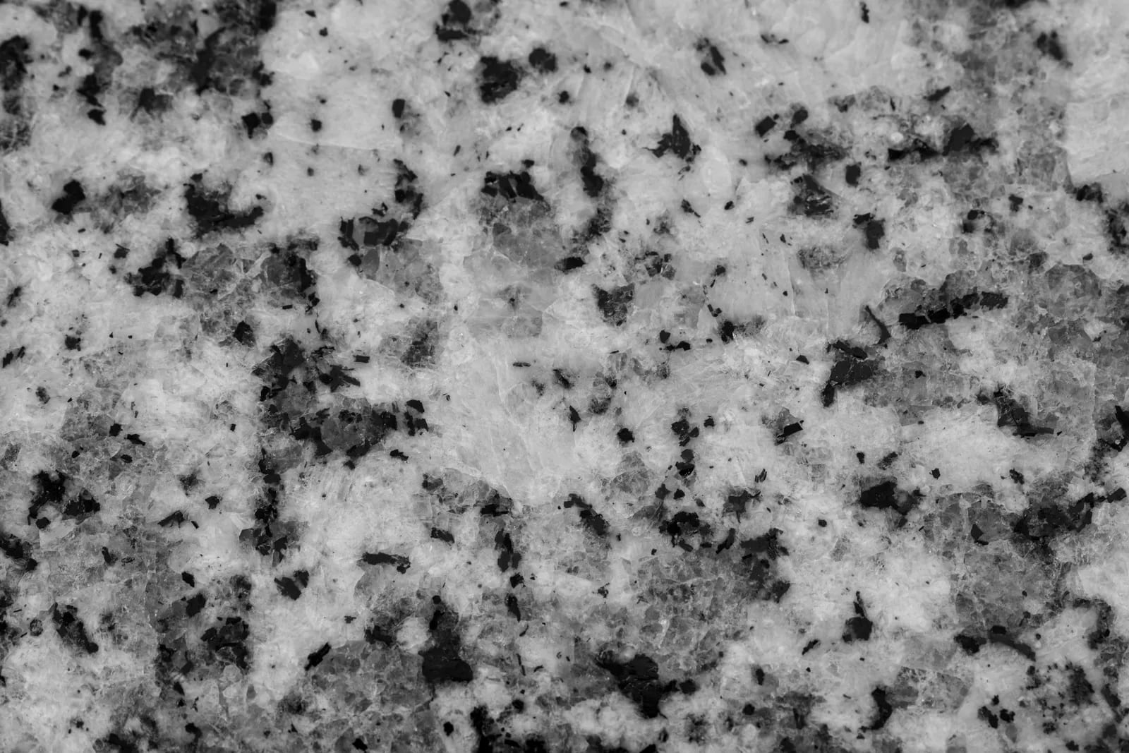 Primer plano en blanco y negro de una superficie de granito con cristales claros y manchas oscuras de distintos tamaños