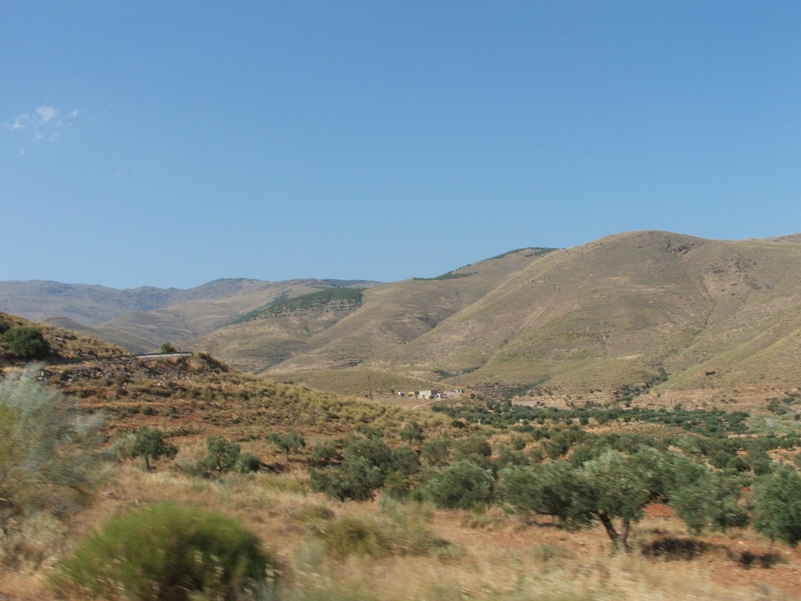 Laderas y colinas de la Sierra de los Filabres, con matorral y olivos en primer término bajo un cielo despejado