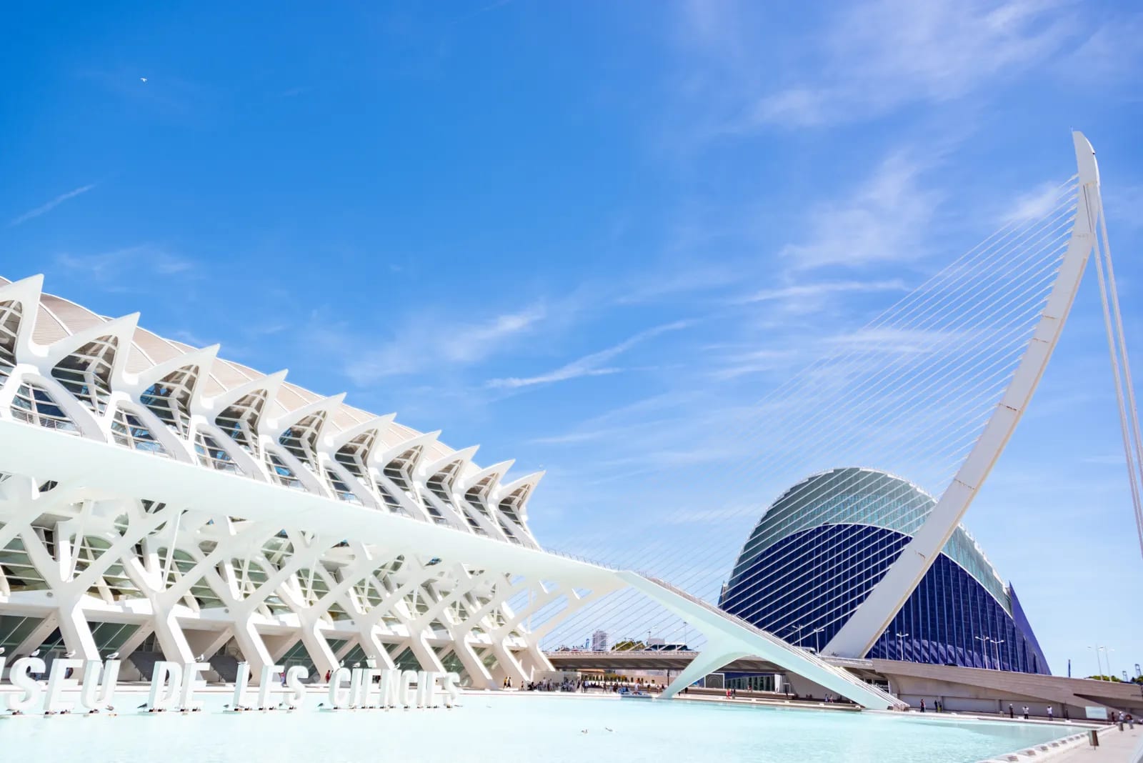 Edificio blanco de costillas del Museu de les Ciències, con su nombre en letras junto a un estanque, el puente atirantado blanco de l'Assut de l'Or y la cúpula azul de L'Àgora al fondo bajo un cielo despejado