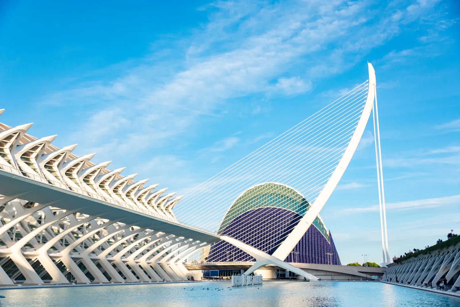Estructura de nervios blancos del Museo de las Ciencias, el puente atirantado de l'Assut de l'Or y el edificio del Ágora junto a un estanque, en la Ciudad de las Artes y las Ciencias de Valencia, bajo un cielo azul