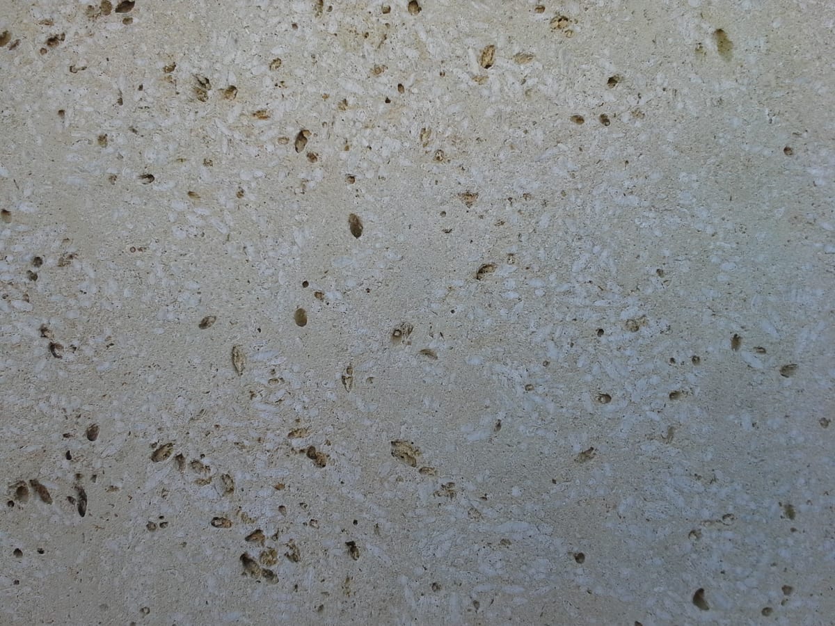 Superficie de caliza crema apomazada, mate, con pequeñas cavidades y fósiles marrones dispersos