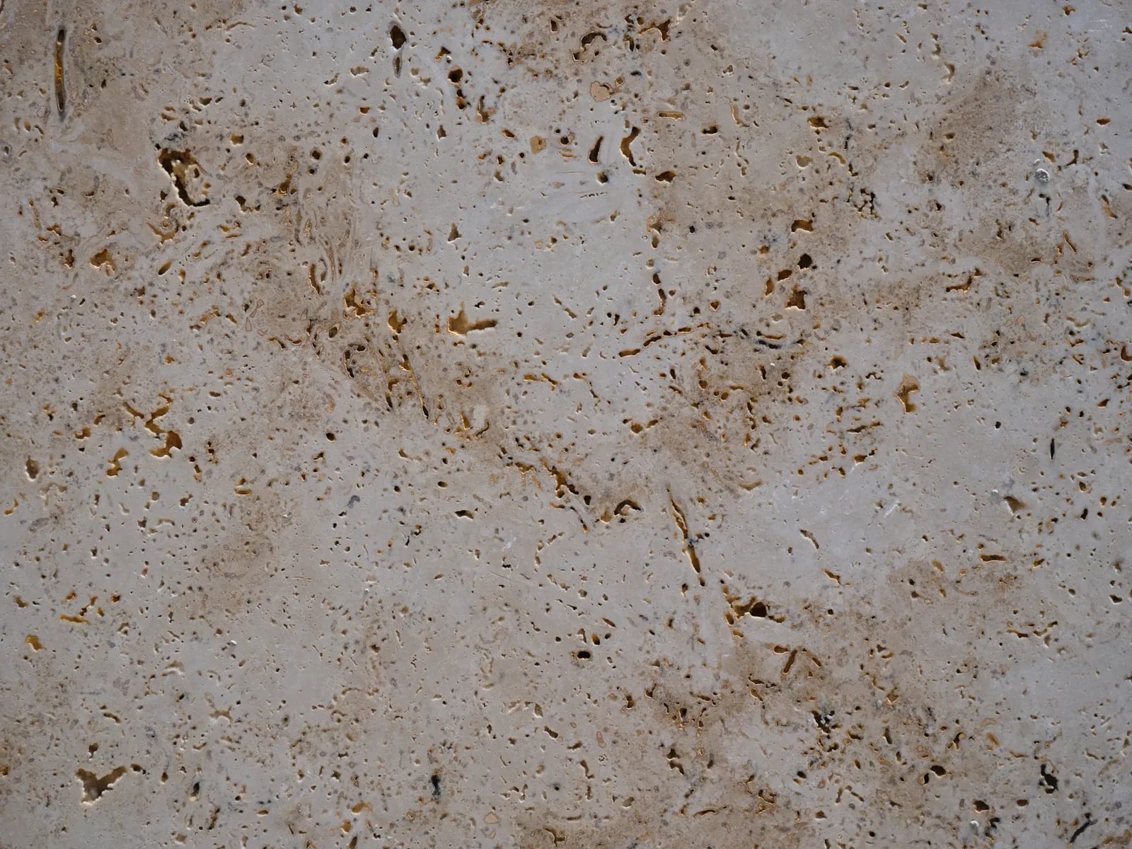 Primer plano de una superficie de piedra beige clara con numerosos poros y huecos abiertos de interior ocre
