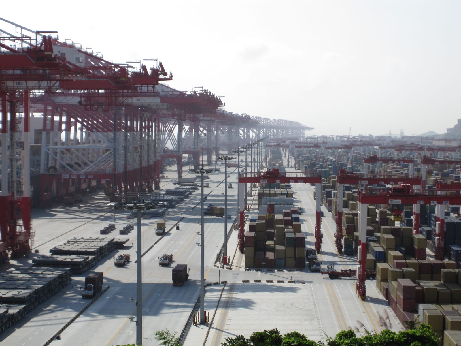 Grúas pórtico rojas alineadas a lo largo del muelle de contenedores de Yangshan, con camiones en los viales y pilas de contenedores bajo pórticos de patio a la derecha